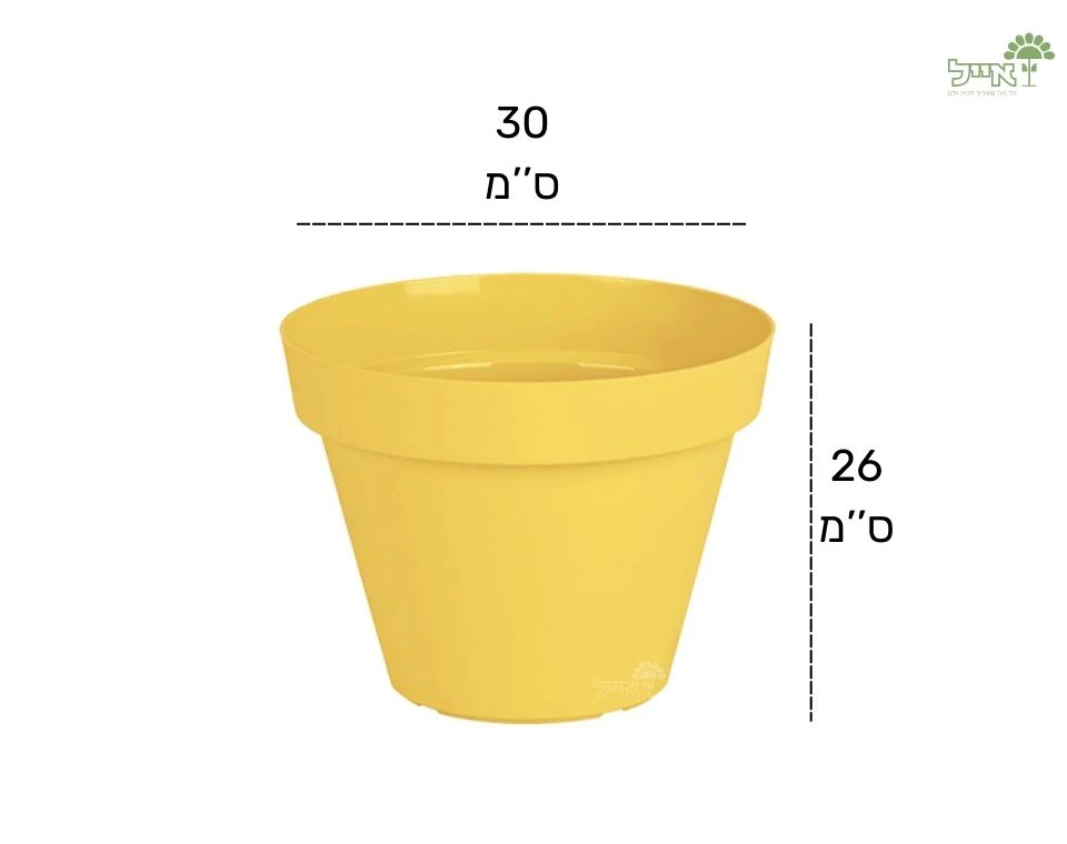תמונת מוצר 2