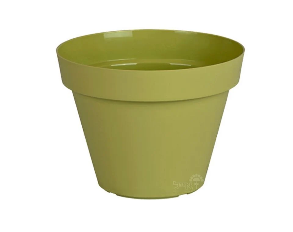 תמונת מוצר 1