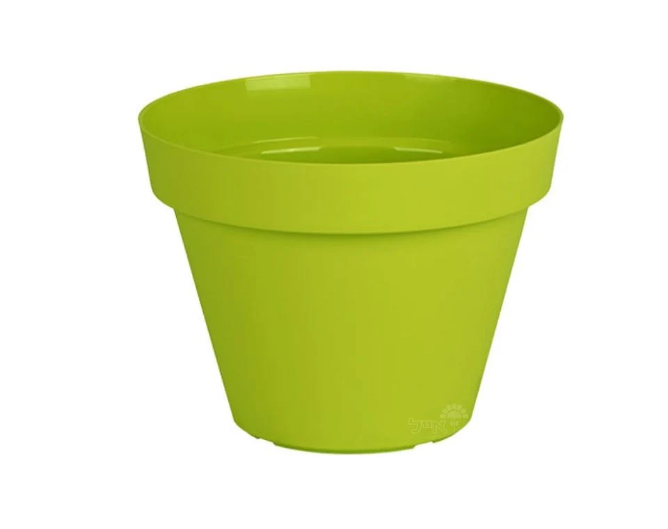 תמונת מוצר 1