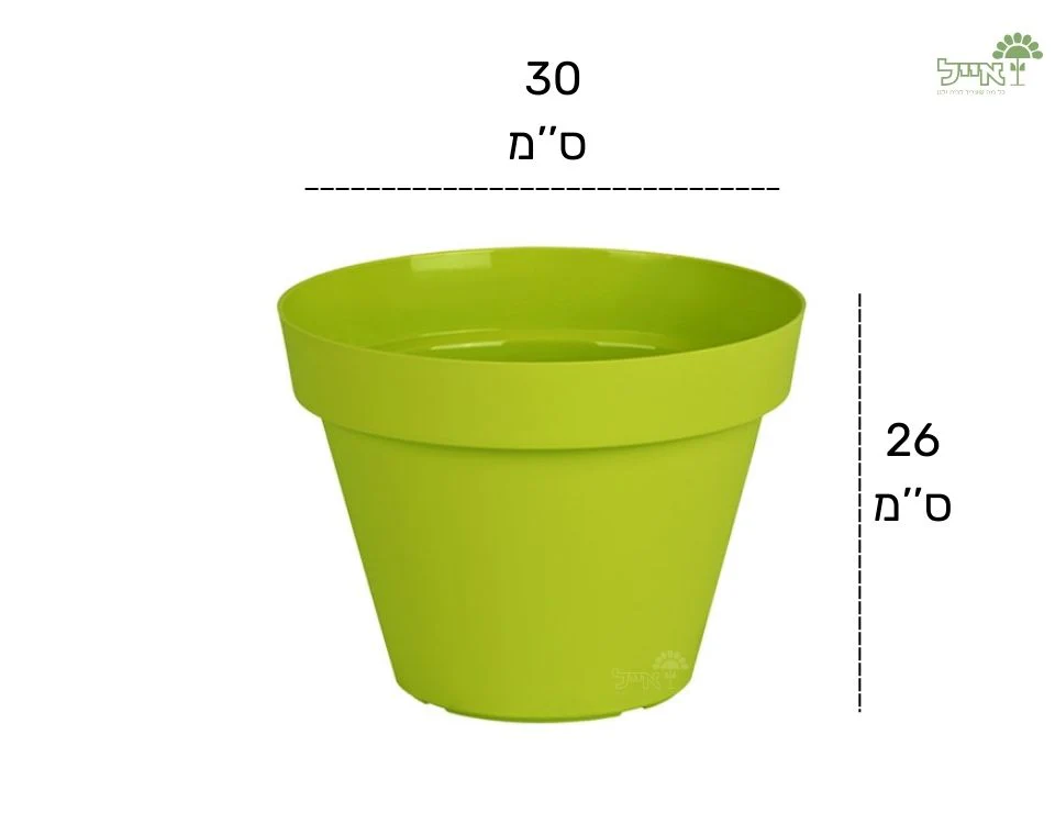 תמונת מוצר 2