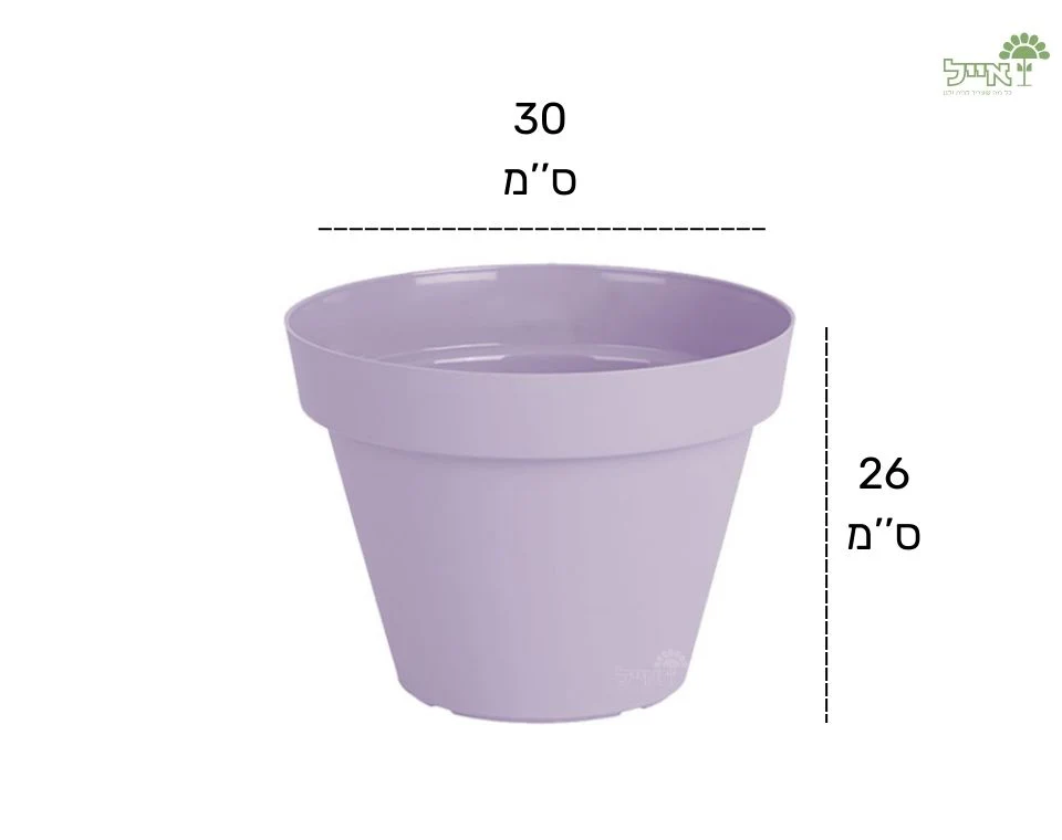 תמונת מוצר 2
