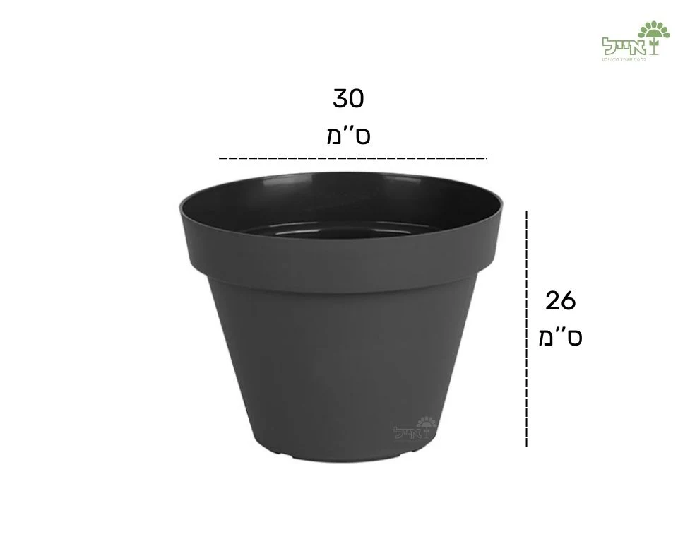תמונת מוצר 2