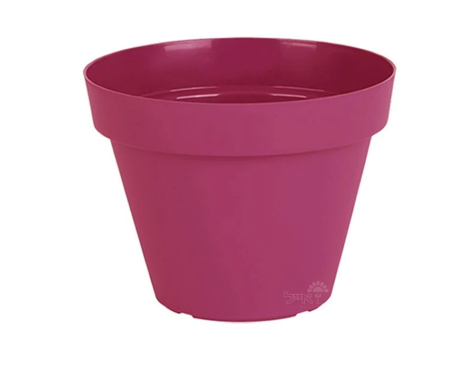 תמונת מוצר 1