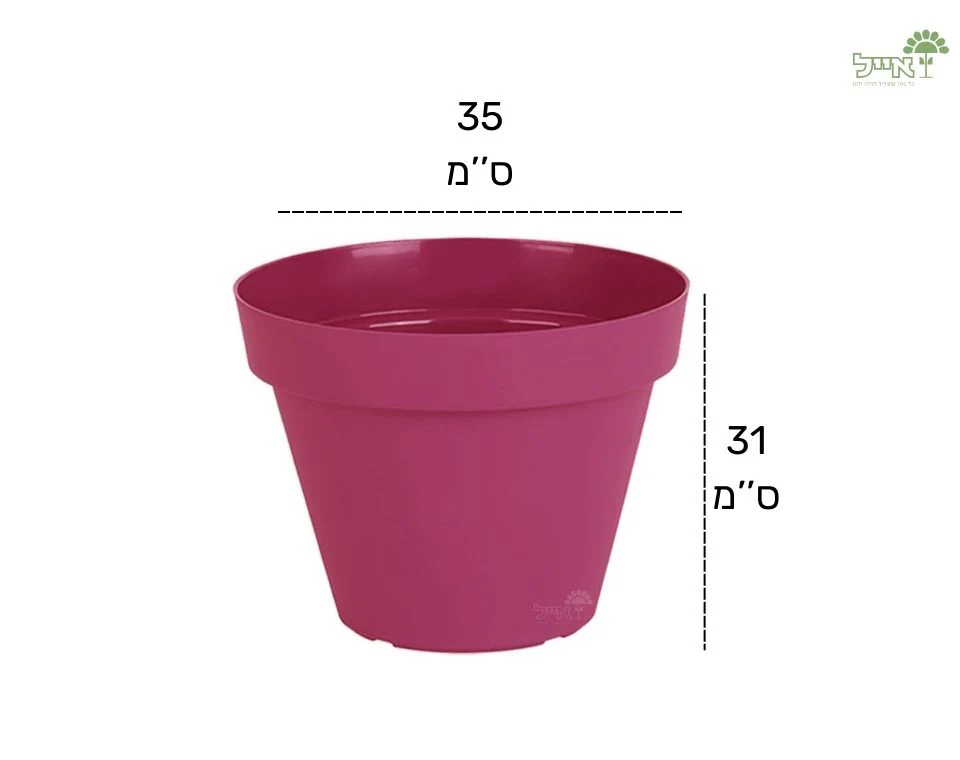 תמונת מוצר 2