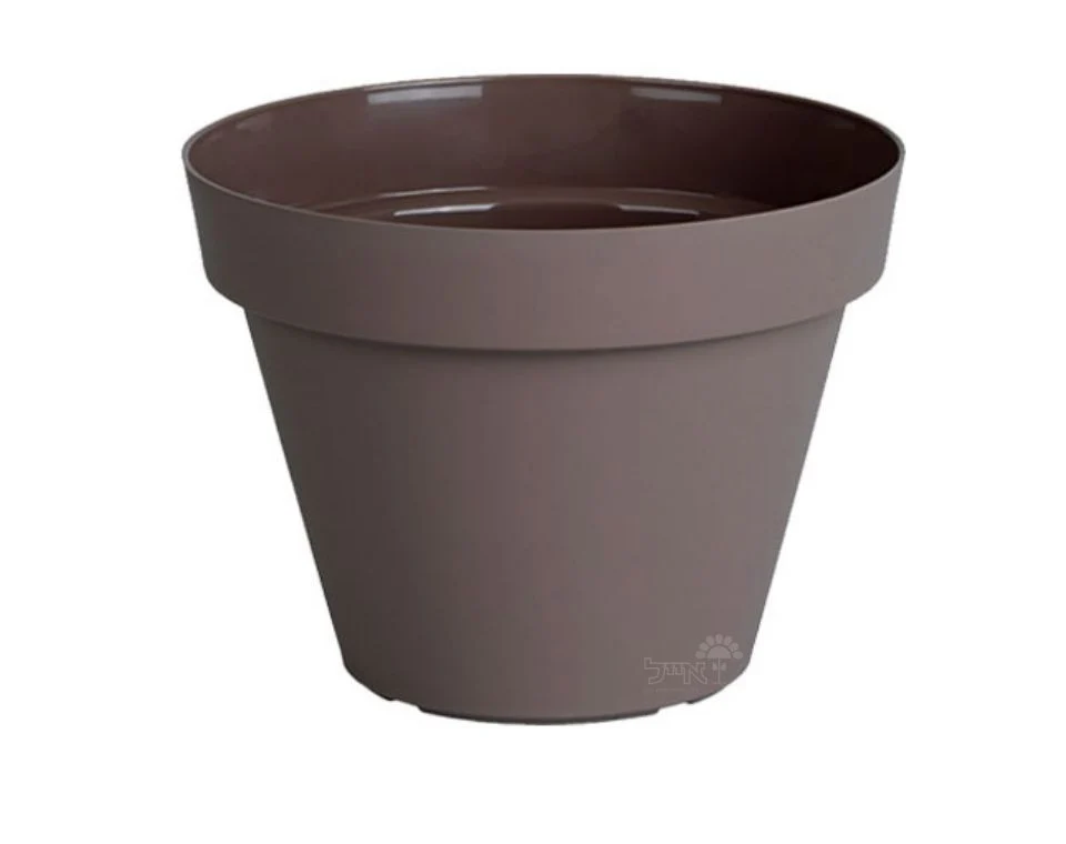 תמונת מוצר 1