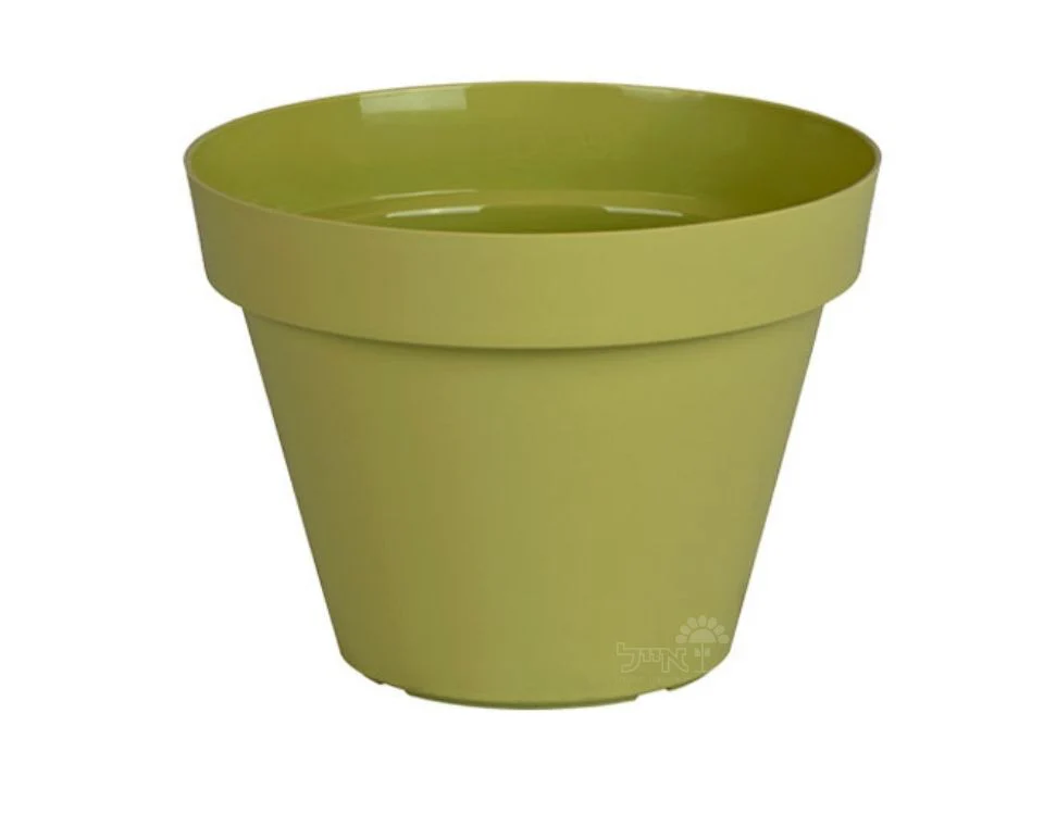 תמונת מוצר 1