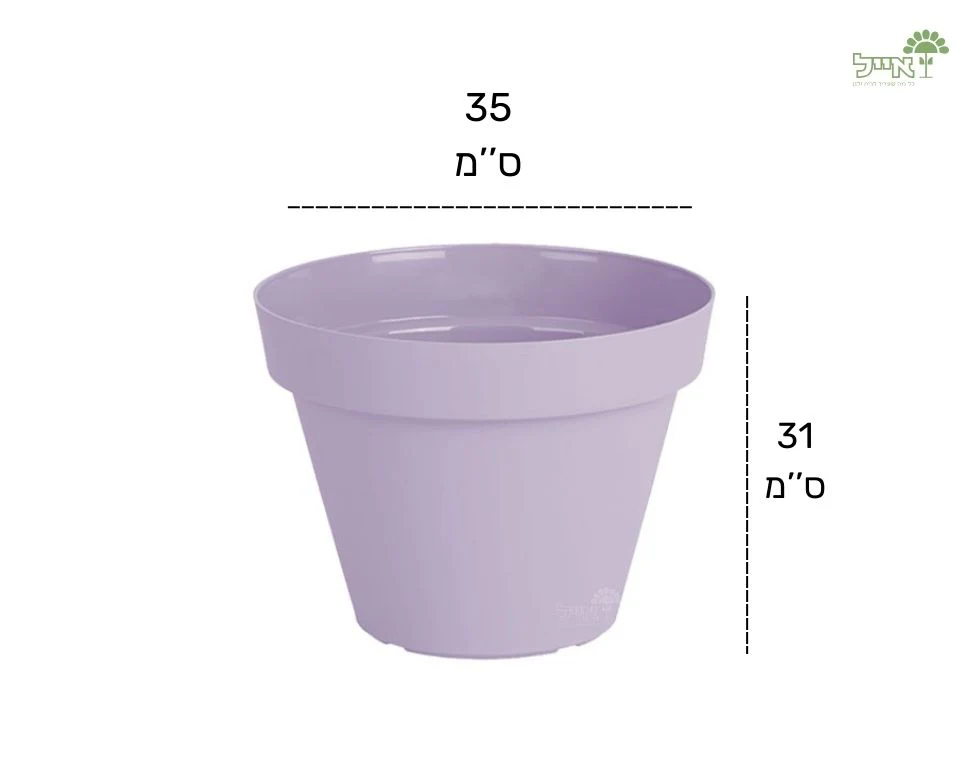 תמונת מוצר 2