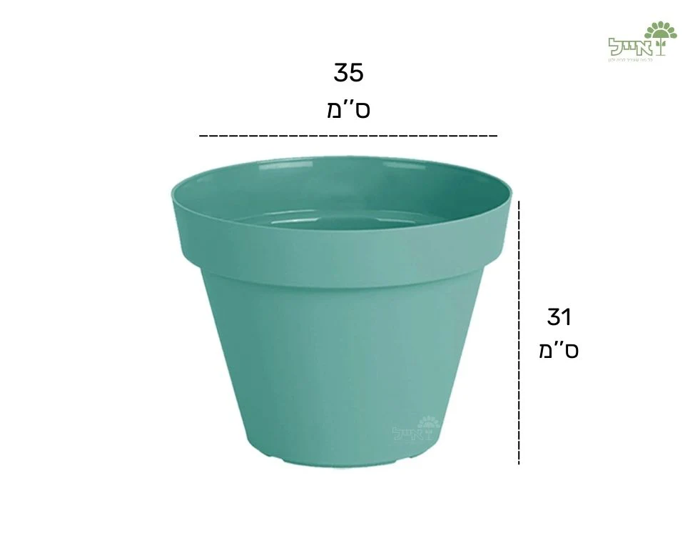 תמונת מוצר 2