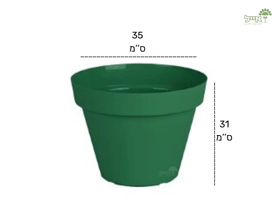 תמונת מוצר 2