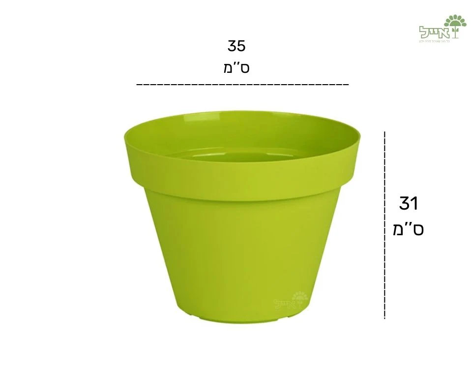 תמונת מוצר 2