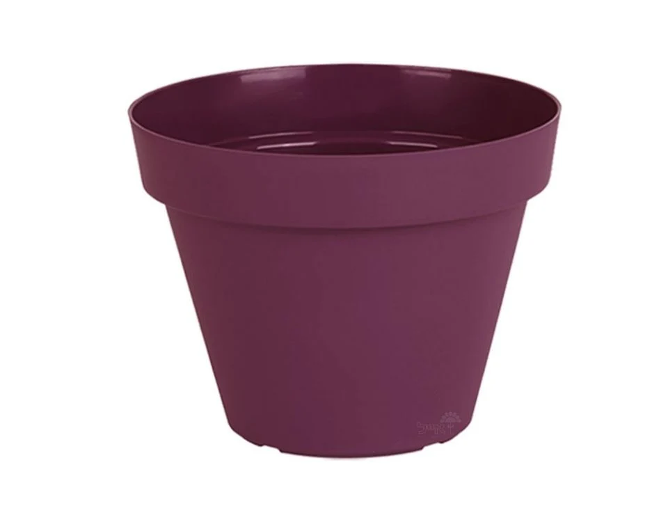 תמונת מוצר 1