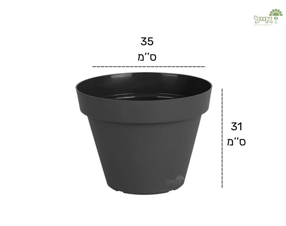 תמונת מוצר 2