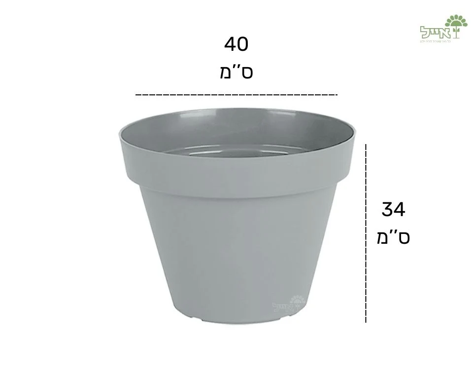 תמונת מוצר 2