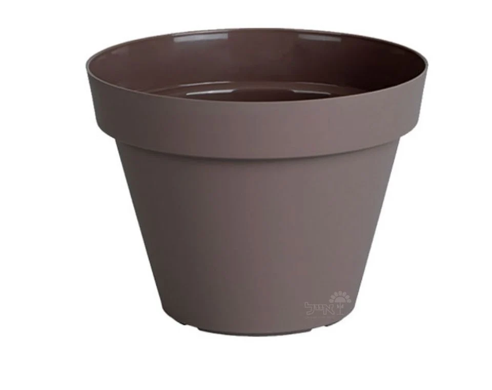 תמונה ממוזערת 1
