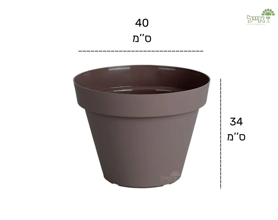 תמונה ממוזערת 2