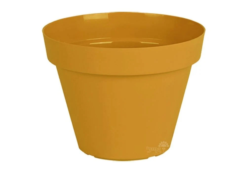 תמונת מוצר 1