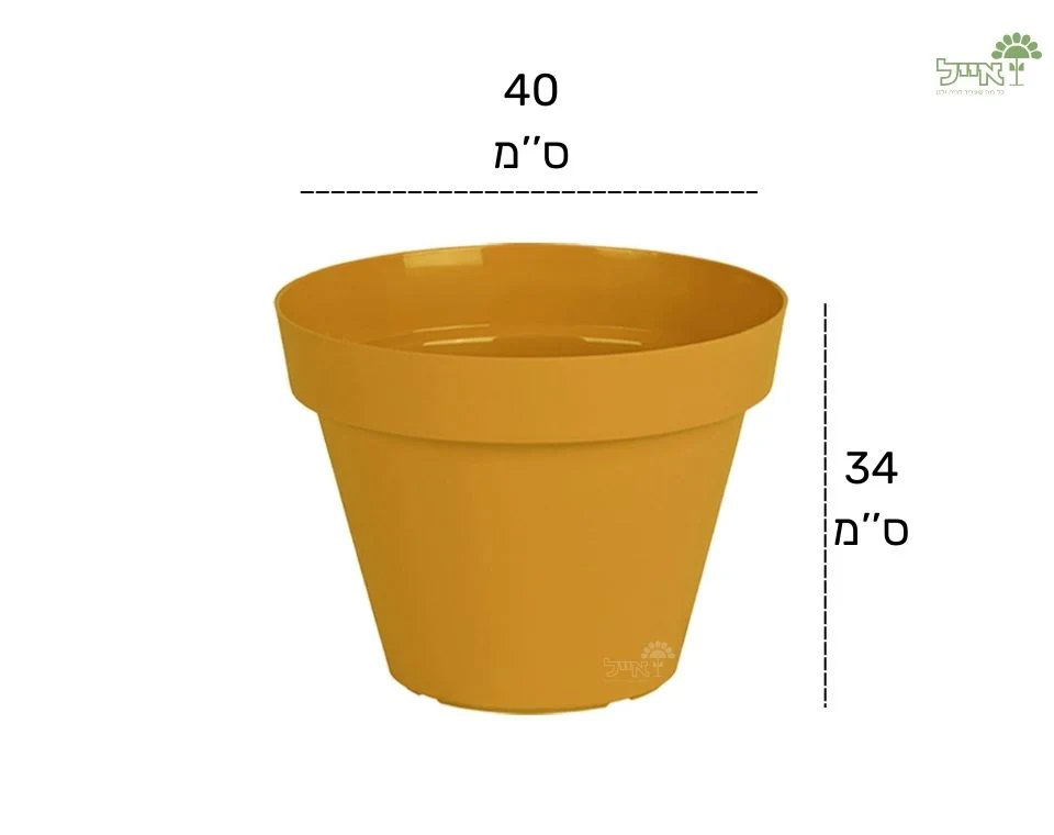 תמונת מוצר 2