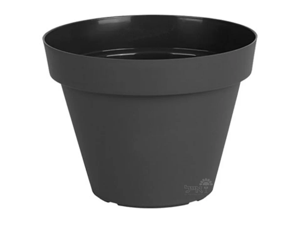 תמונת מוצר 1