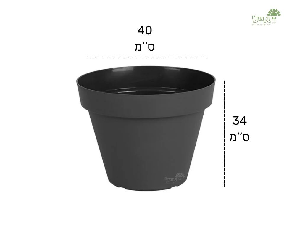 תמונת מוצר 2