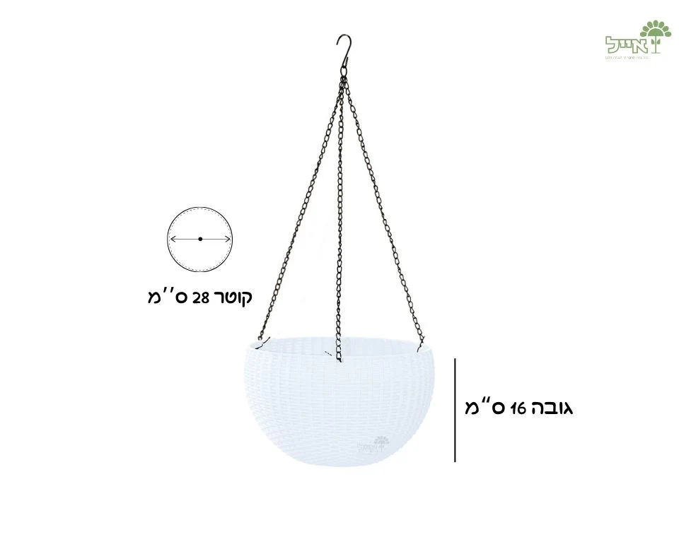 תמונת מוצר 2