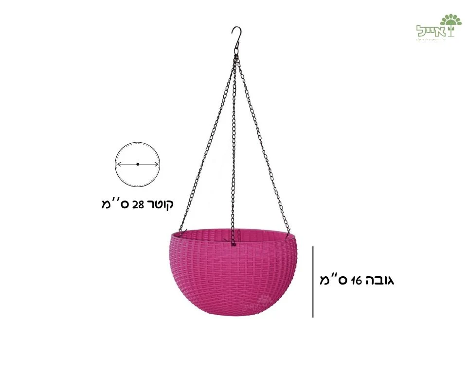 תמונת מוצר 2