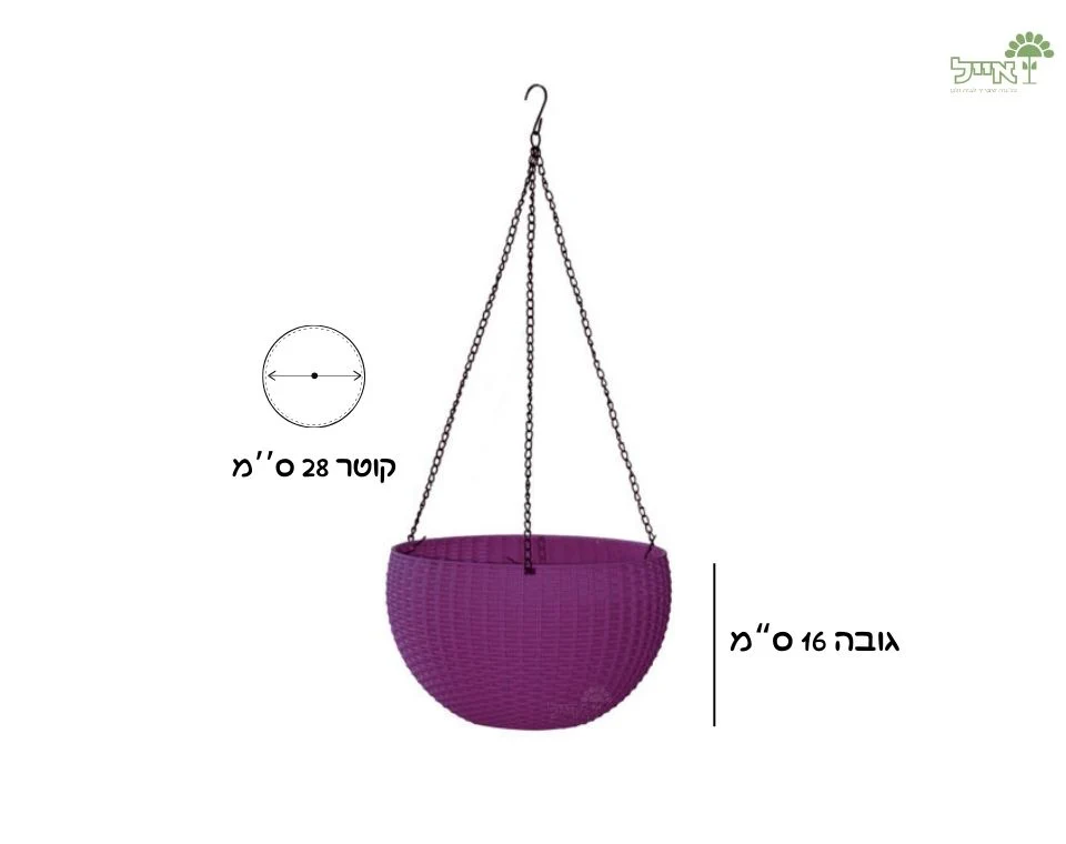 תמונת מוצר 2