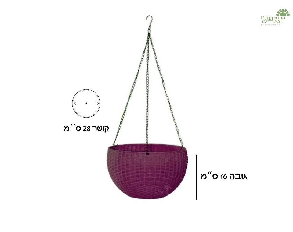תמונת מוצר 2