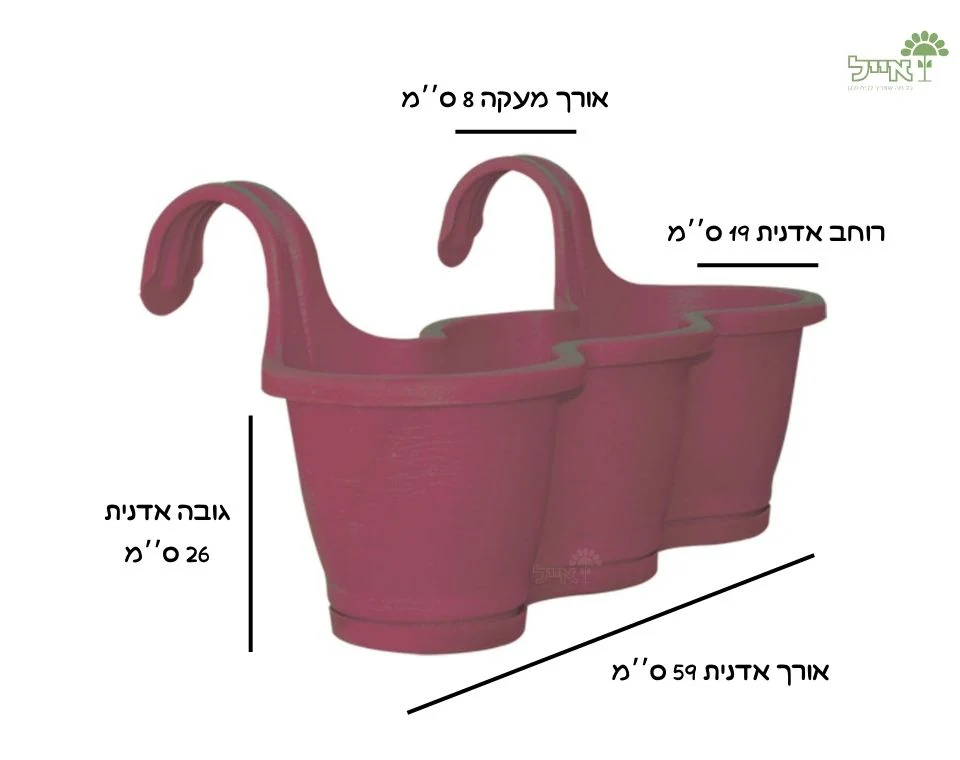 תמונת מוצר 2