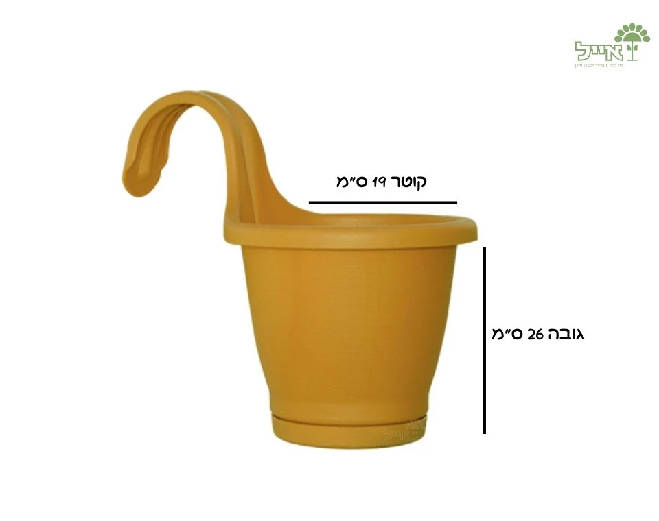 תמונת מוצר 2