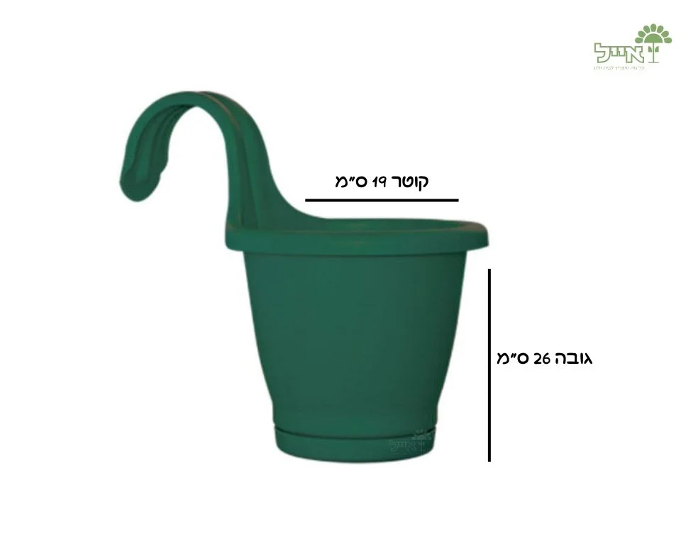 תמונה ממוזערת 2