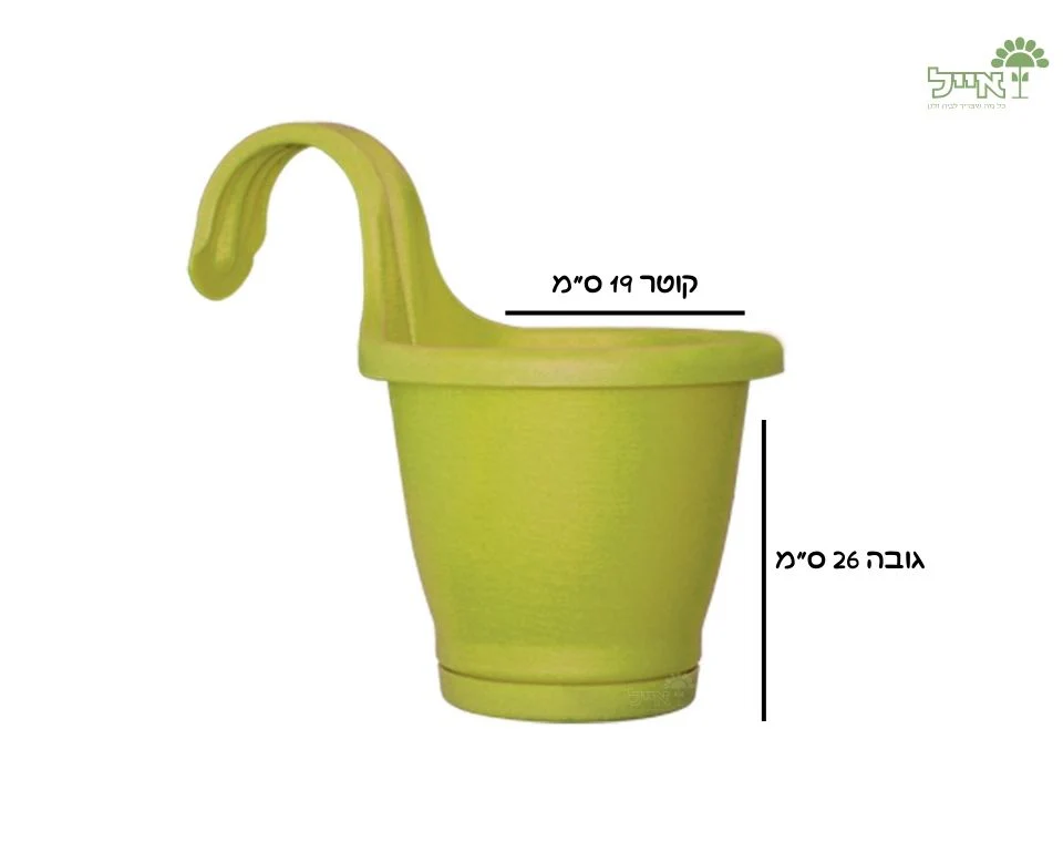 תמונה ממוזערת 2