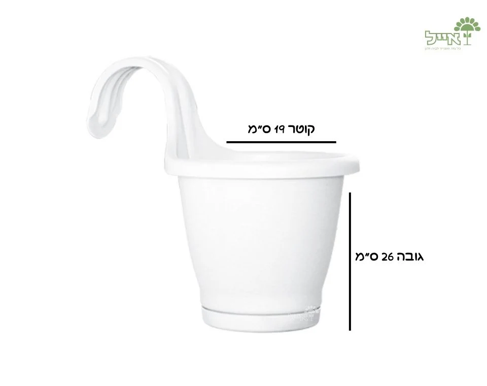 תמונה ממוזערת 2