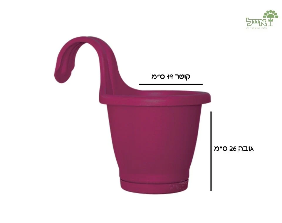 תמונה ממוזערת 2