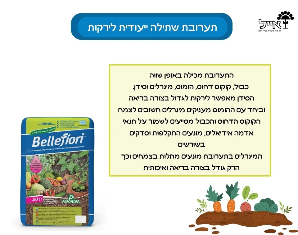 תמונת מוצר 2