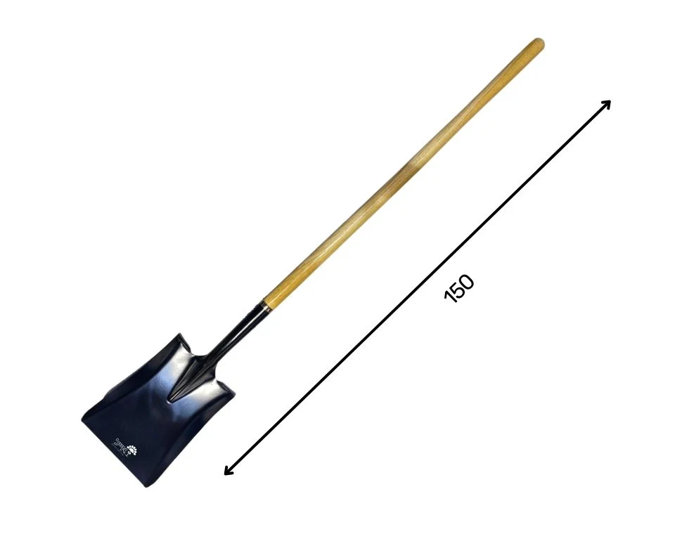 תמונה ממוזערת 2