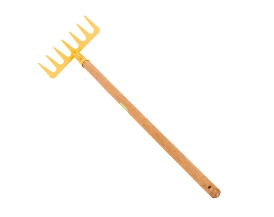 תמונה ממוזערת 1