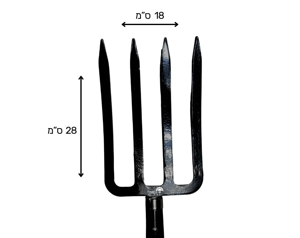 תמונת מוצר 3