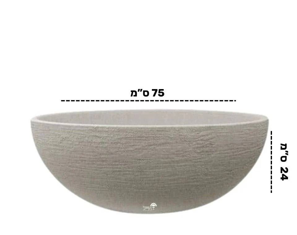 תמונת מוצר 2