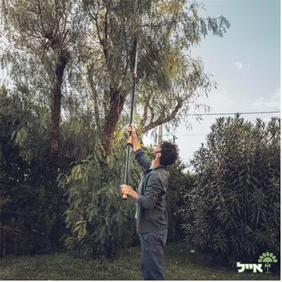 תמונת מוצר 4