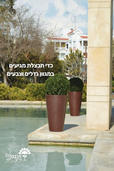 תמונת מוצר 3
