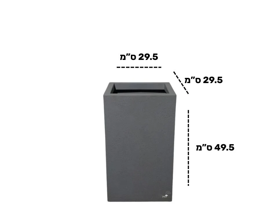 תמונה ממוזערת 2