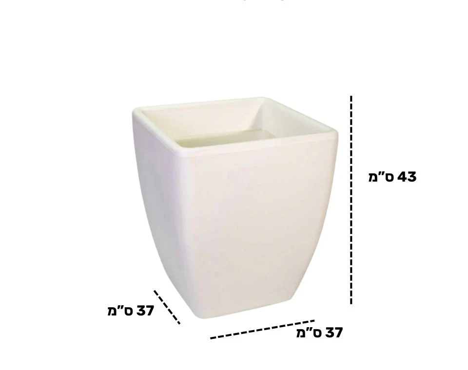 תמונת מוצר 2
