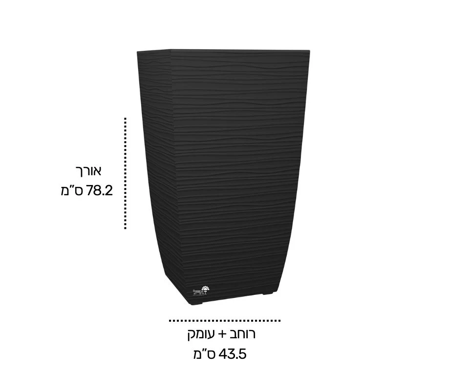 תמונה ממוזערת 2