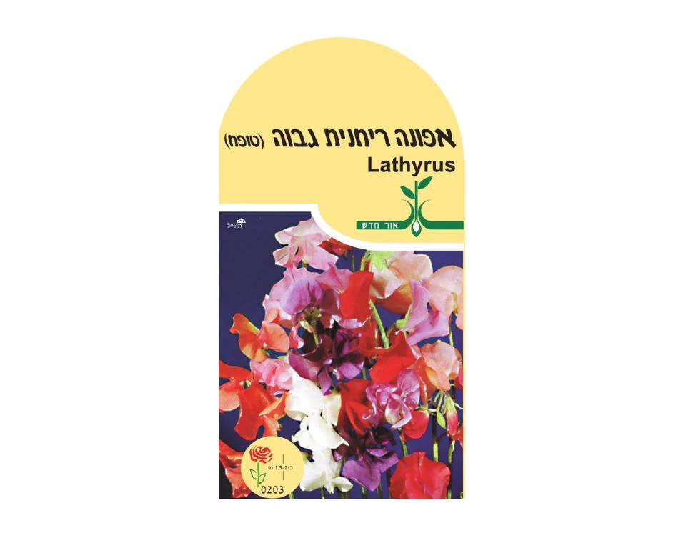 תמונה ממוזערת 1
