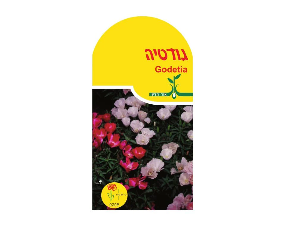 תמונת מוצר 1