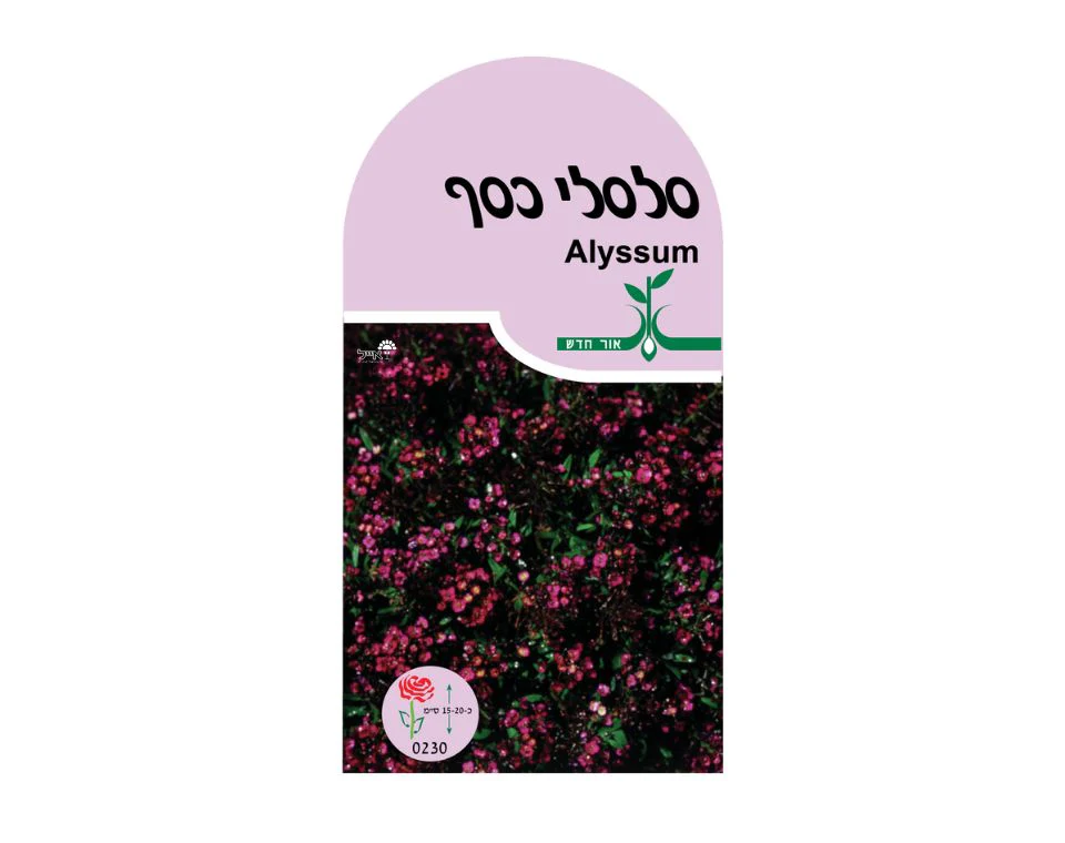 תמונת מוצר 1