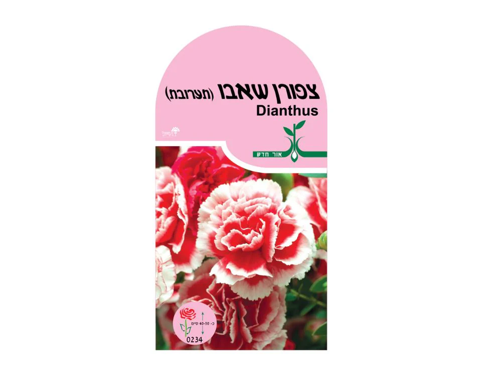 תמונה ממוזערת 1