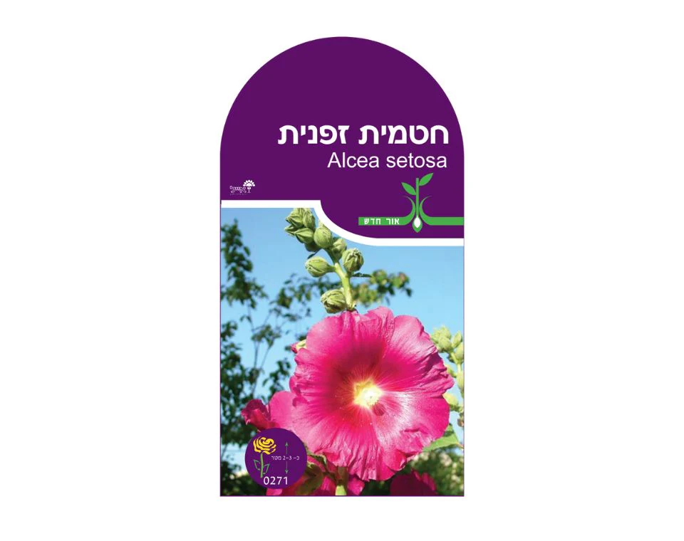תמונה ממוזערת 1