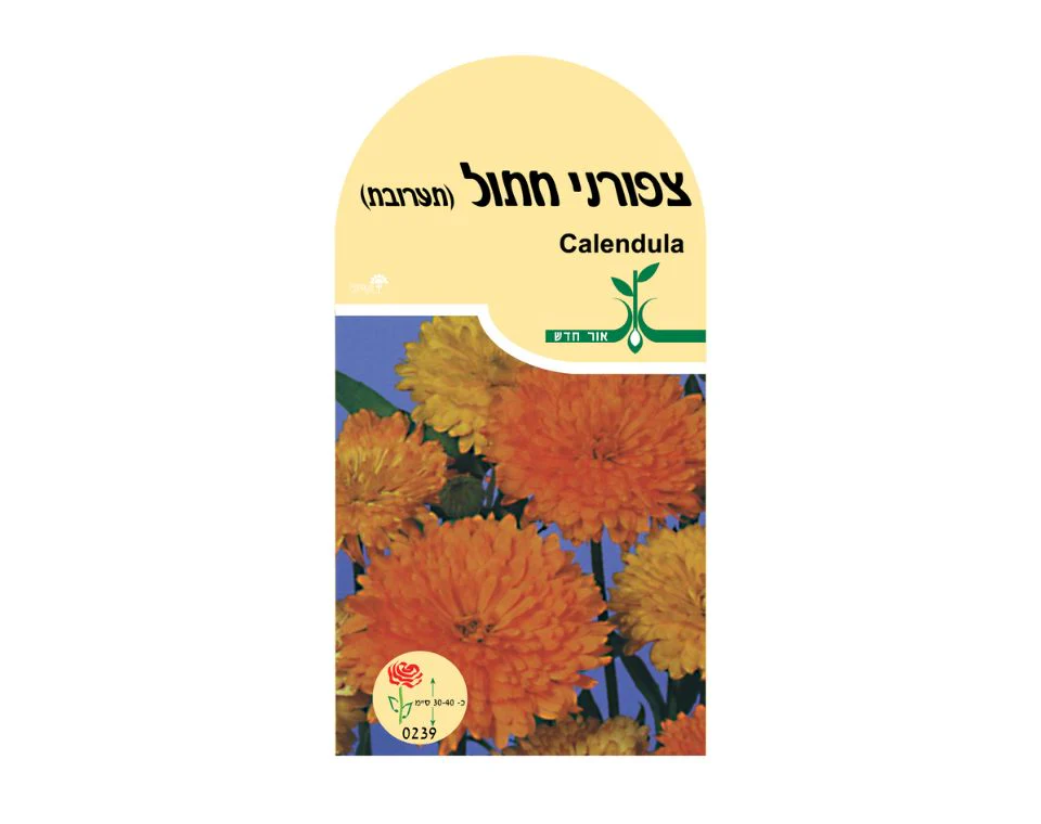 תמונת מוצר 1