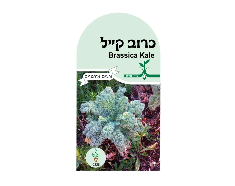 תמונת מוצר 1